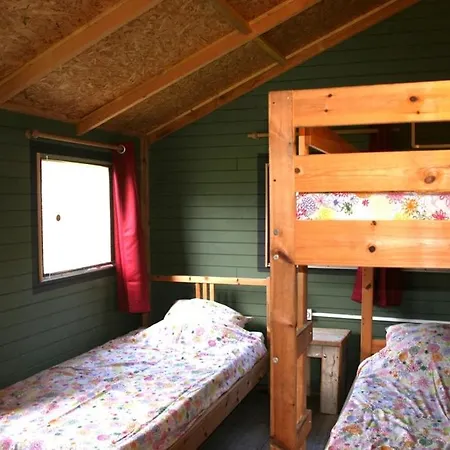 Hébergement de vacances Domaine Des Hirondelles Saint-Vincent-de-Cosse